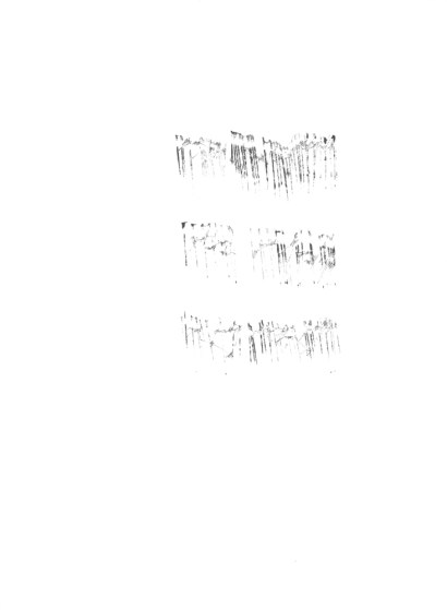 dermisache-4textos-site1-1