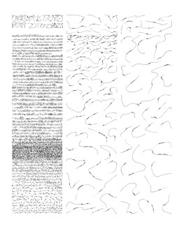 Mirtha Dermisache : Nueve Newsletters y Un Reportaje - El Borde, Mobil-Home, Manglar - Newsletter 2