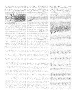 Mirtha Dermisache : Nueve Newsletters y Un Reportaje - El Borde, Mobil-Home, Manglar - Newsletter 5