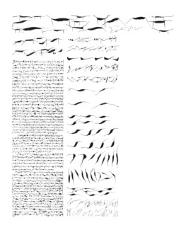 Mirtha Dermisache : Nueve Newsletters y Un Reportaje - El Borde, Mobil-Home, Manglar - Newsletter 7