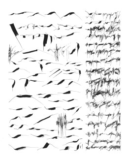 Mirtha Dermisache : Nueve Newsletters y Un Reportaje - El Borde, Mobil-Home, Manglar - Newsletter 8